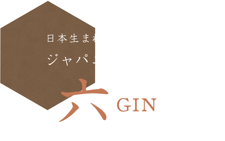 六 GIN