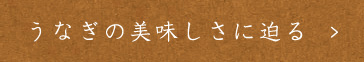 うなぎの美味しさに迫る