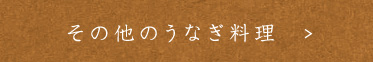 その他のうなぎ料理