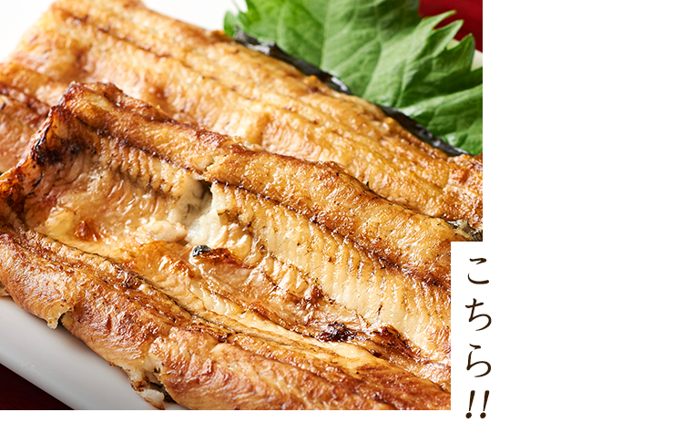 うなぎ白焼き